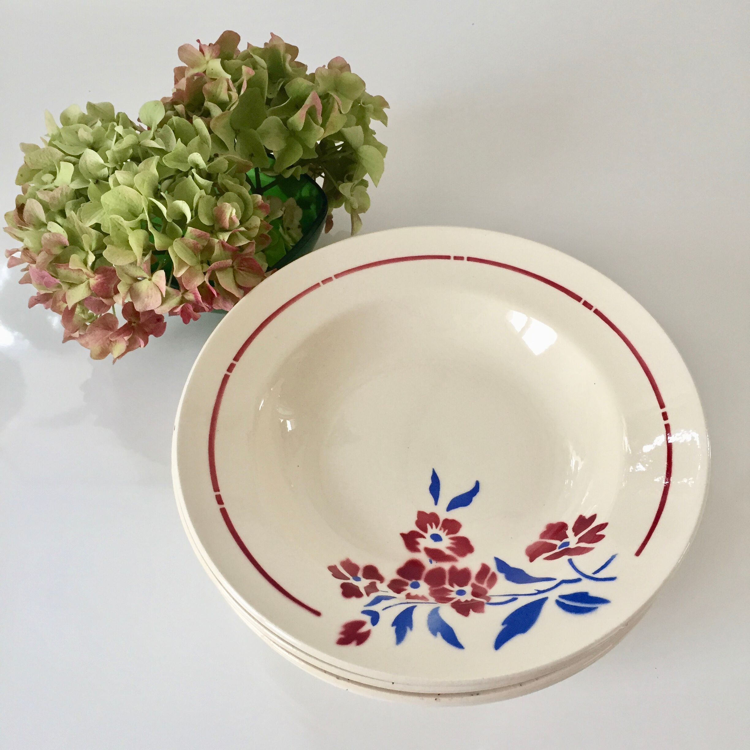 Lot of 6 plates hollow porcelain opaque flowers