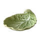 Cup delight slurry cabbage
