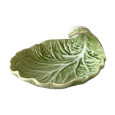 Cup delight slurry cabbage