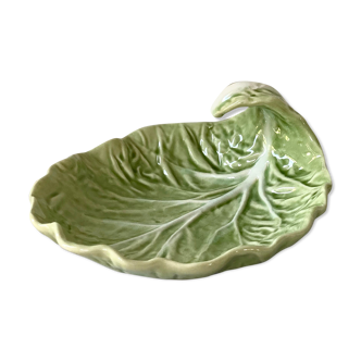 Cup delight slurry cabbage