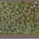 Nature morte de fleurs des champs