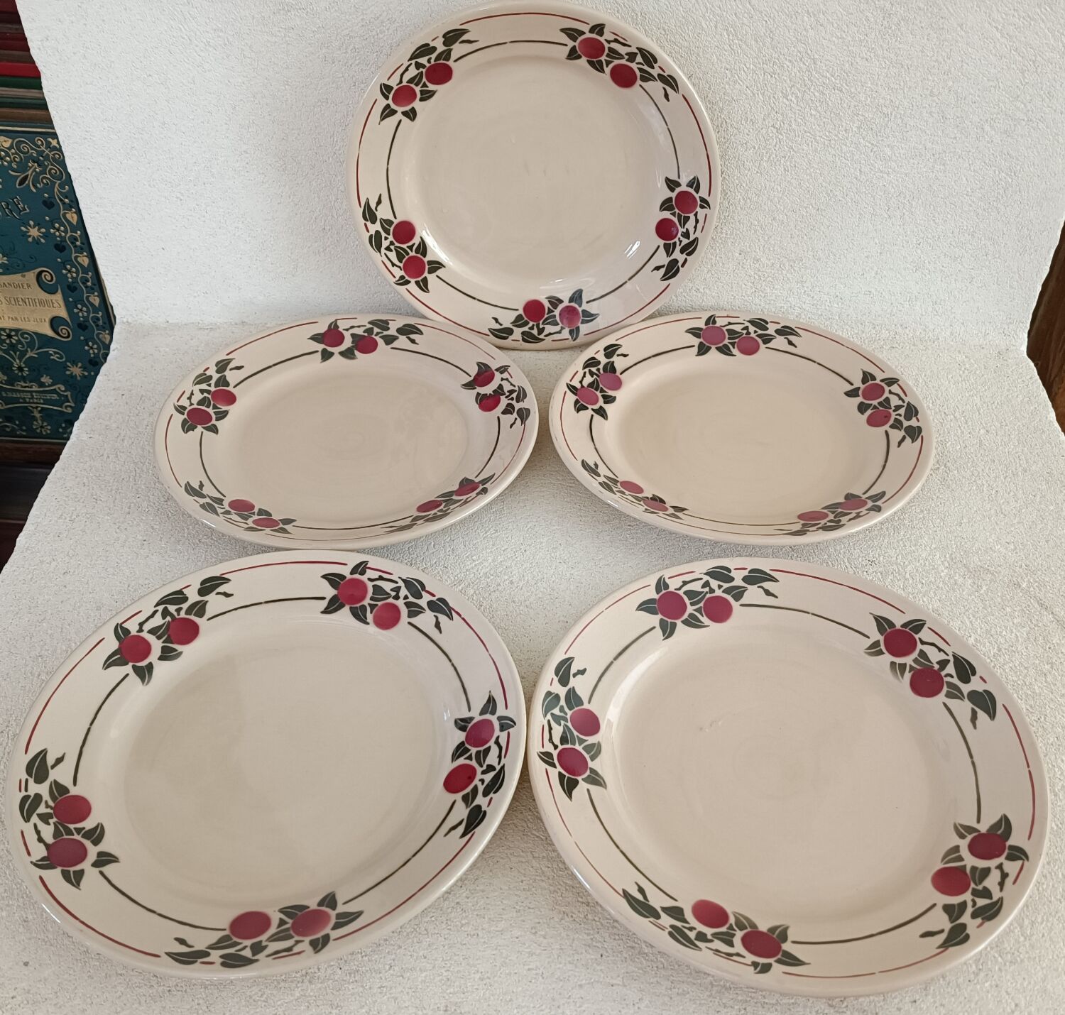 Set of 5 iron earth plates