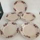 Set of 5 iron earth plates