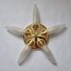 Midcentury Rare Wall or Ceiling Lamp Eglo, Flushmount, Sputnik, Austria, 1980s