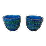 Italian Rimini Blue Ceramic Cachepots by Aldo Londi for Bitossi, 1960s, Set of 2