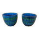 Italian Rimini Blue Ceramic Cachepots by Aldo Londi for Bitossi, 1960s, Set of 2