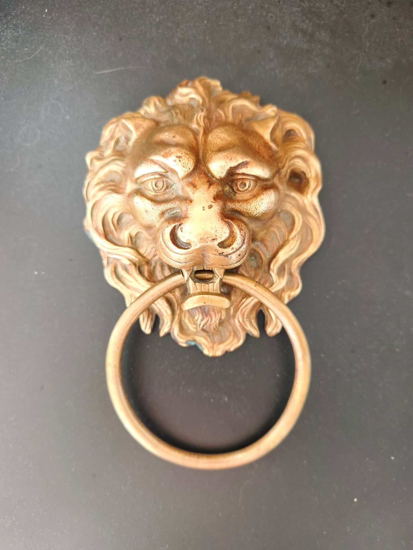 Lion door knocker / bronze door hammer