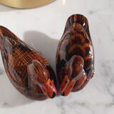 Couple of ducks