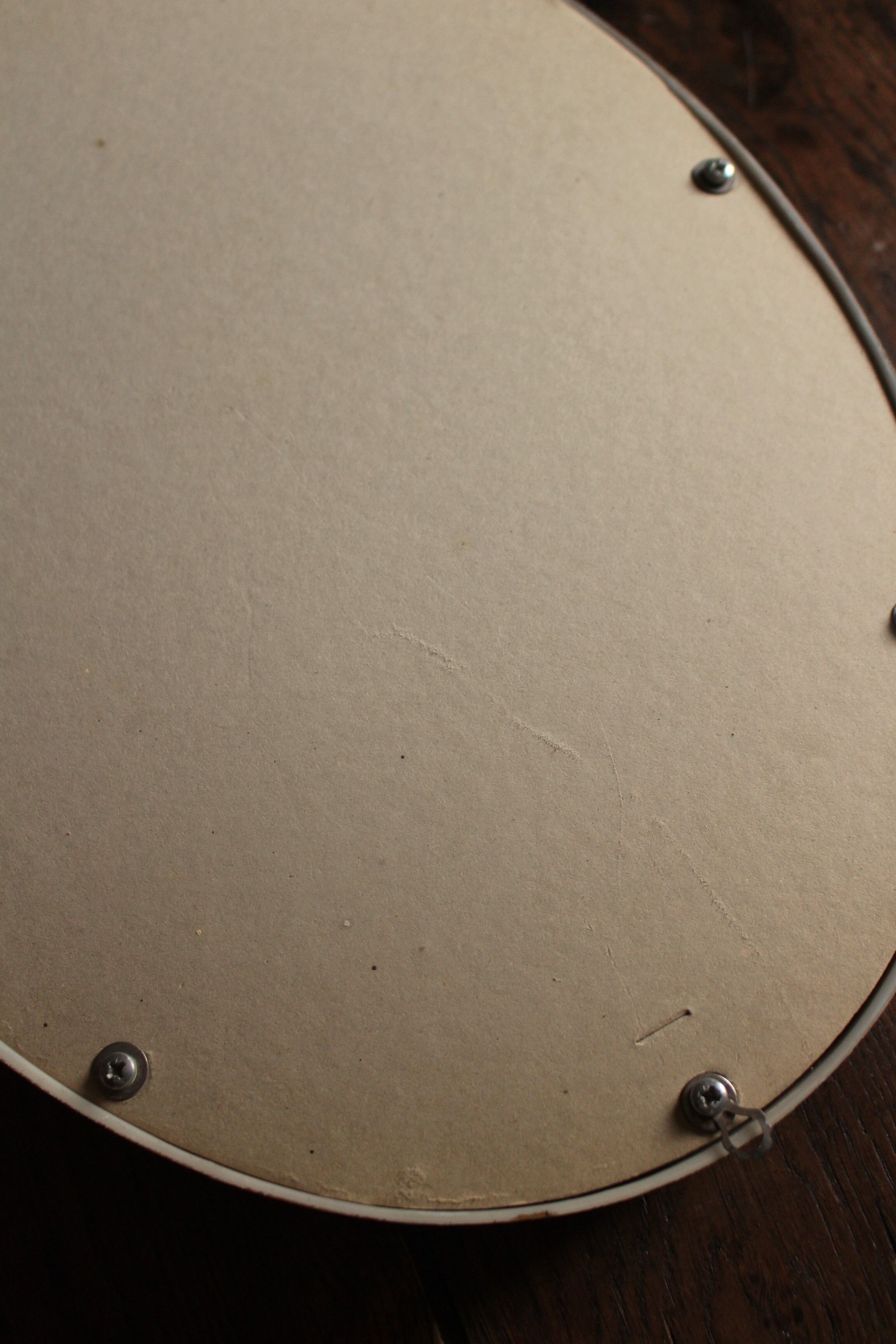 Domed glass frame vintage dried flowers