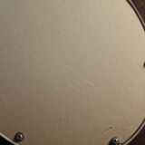 Domed glass frame vintage dried flowers