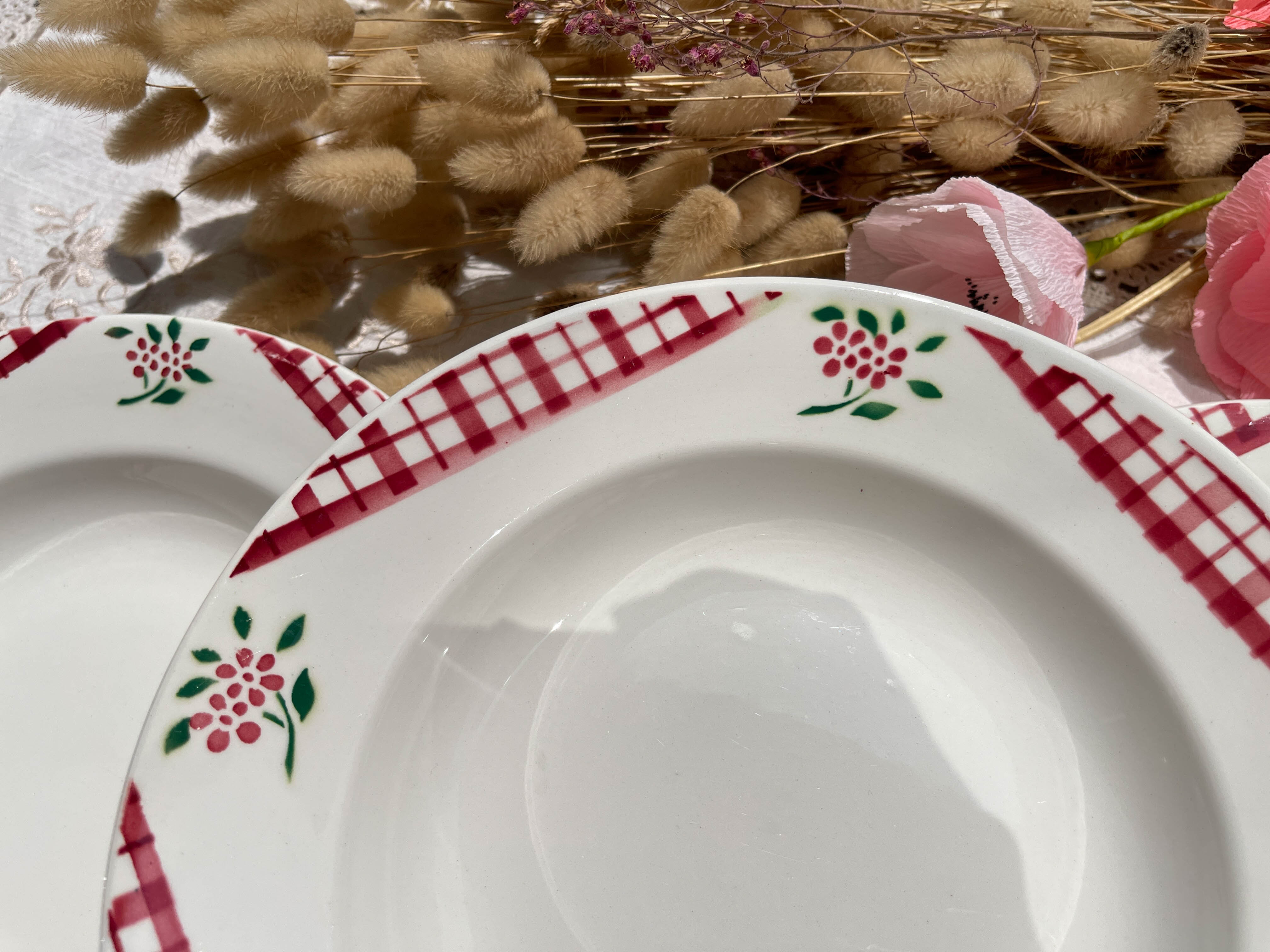 6 Digoin Sarreguemines Niger model soup plates with floral pattern and red/white checks