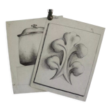Old pencil drawings