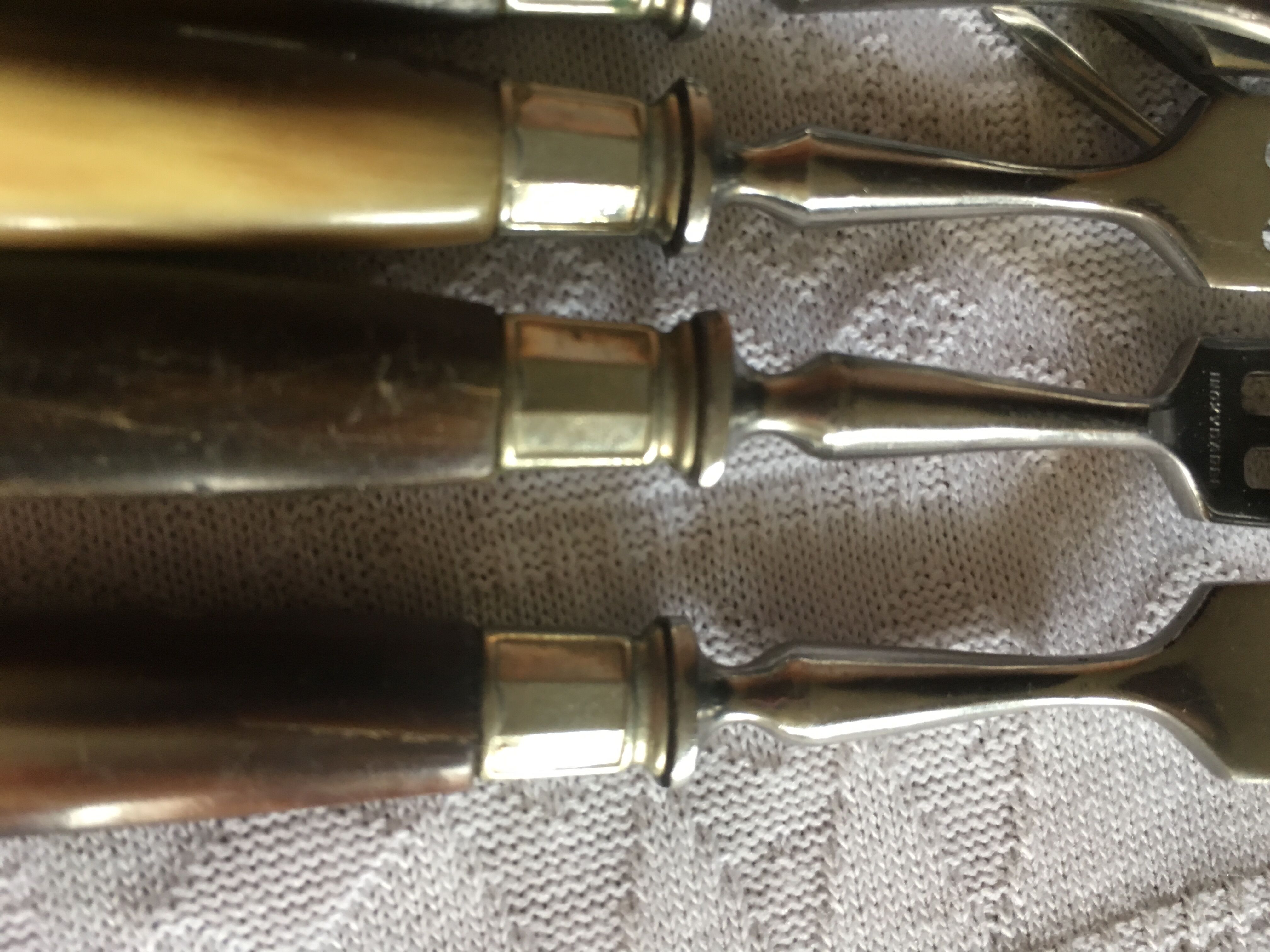 Series of dessert cutlery in stainless steel "with two lions"