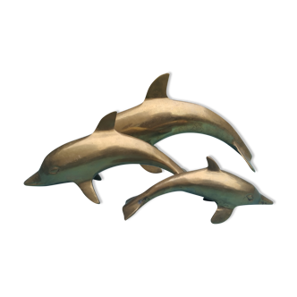 Dolphins