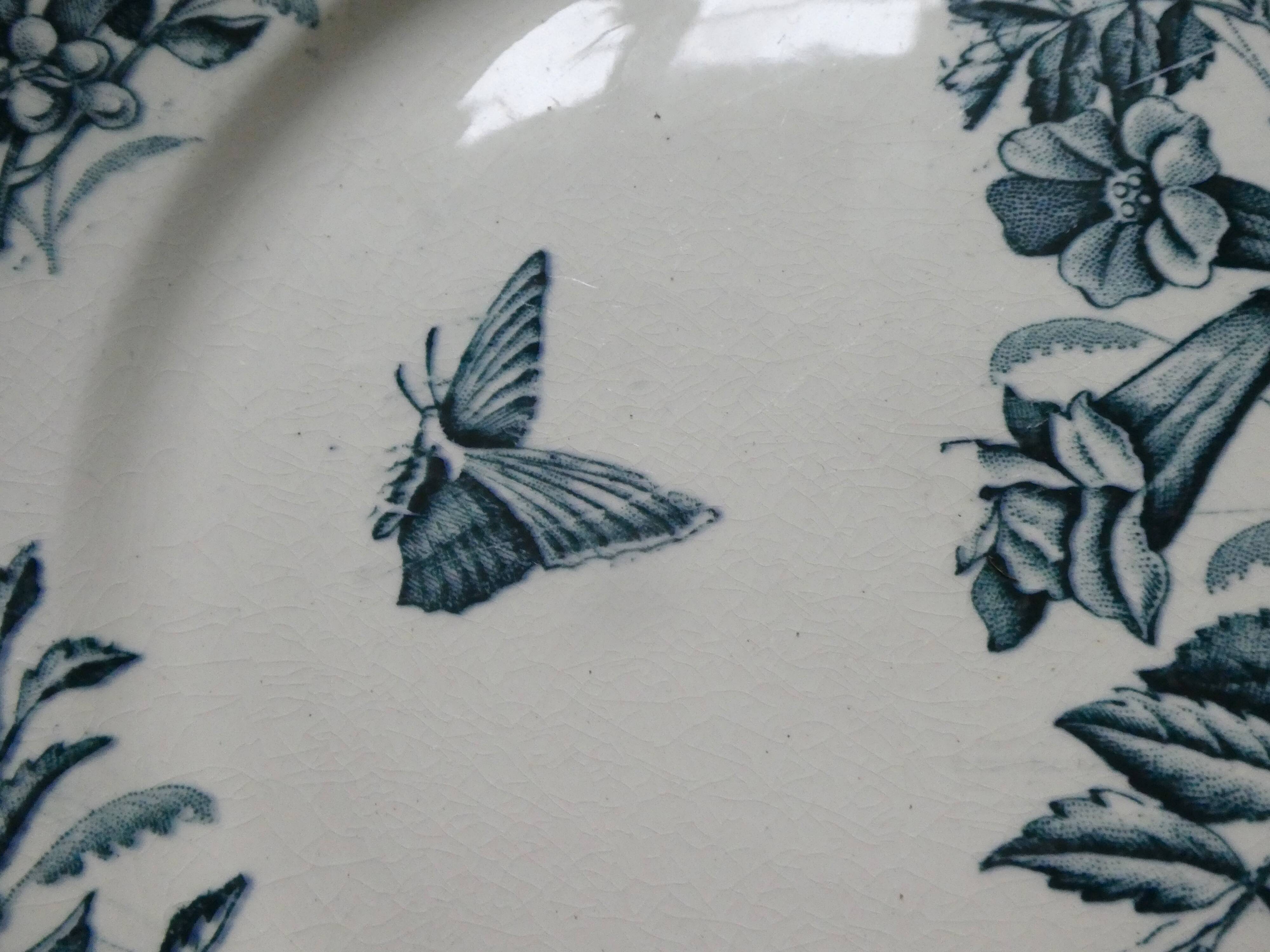 6 assiettes plates Badonviller, papillons et fleurs, 1900