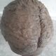 Terracotta head