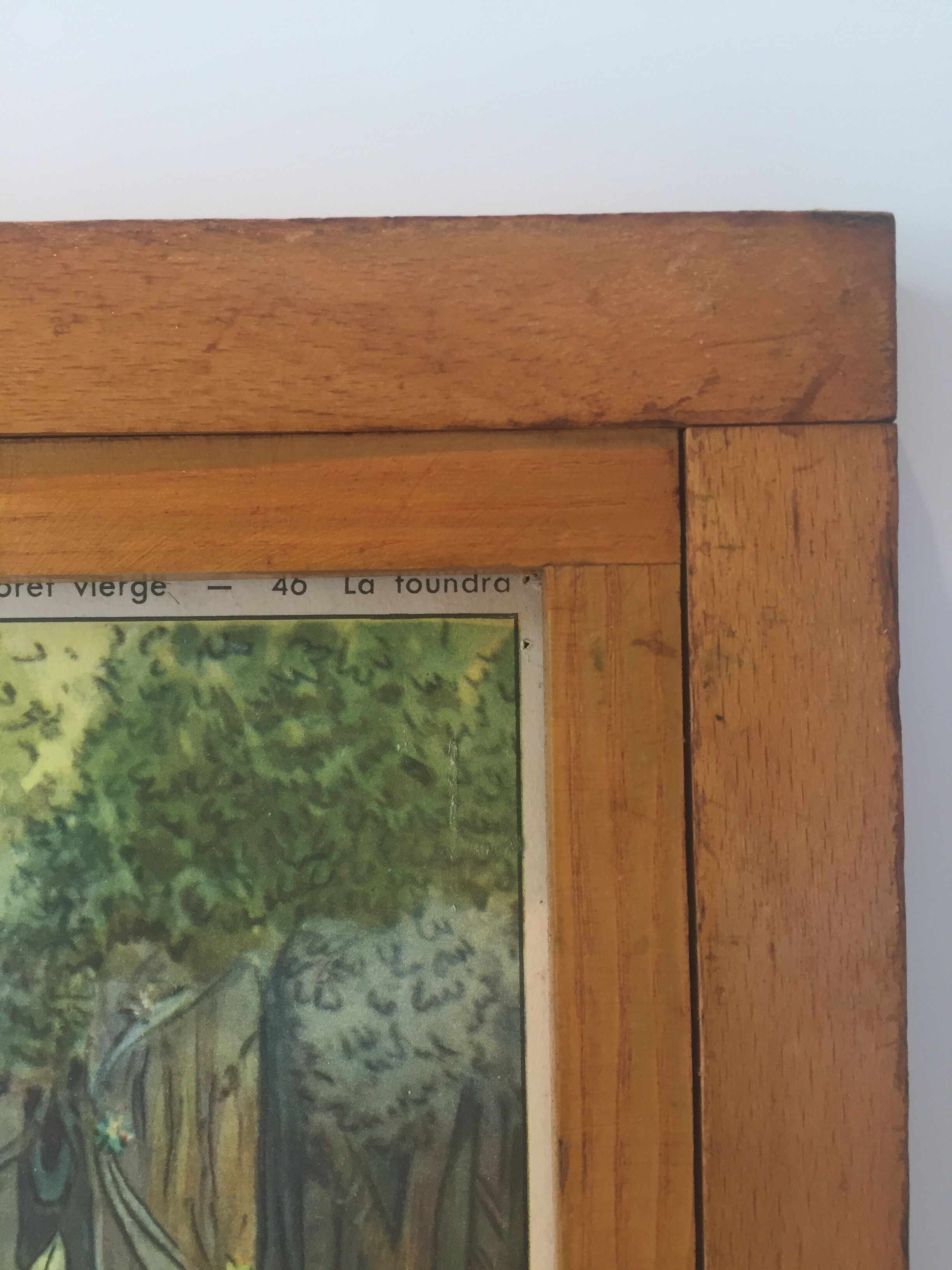 Table school nightingale year 50 with poster virgin forest / tundra