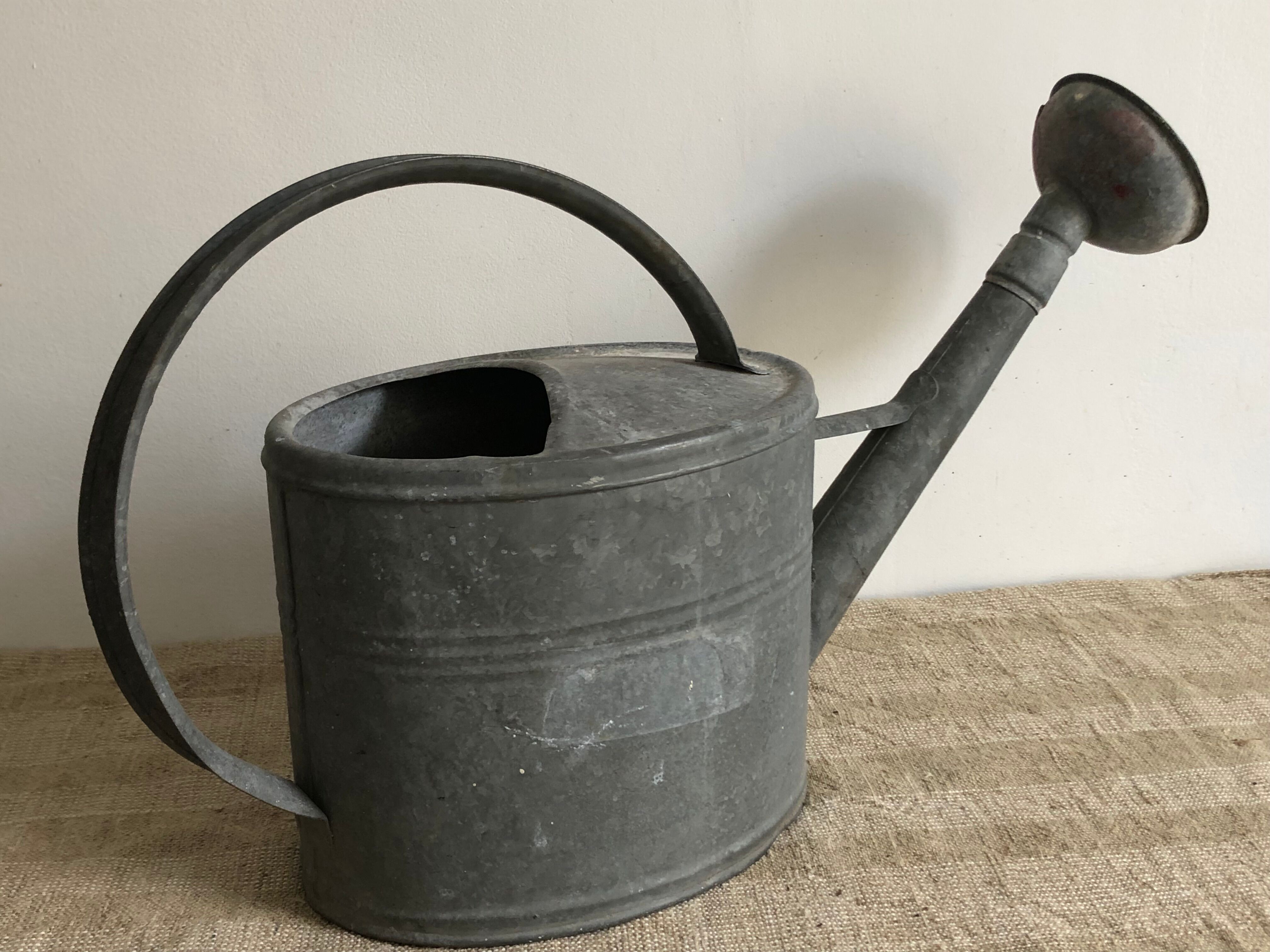 Zinc watering can with apple
