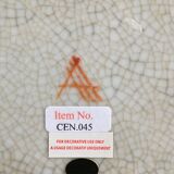 Empty pocket décor parrots