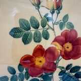 Vintage lithograph