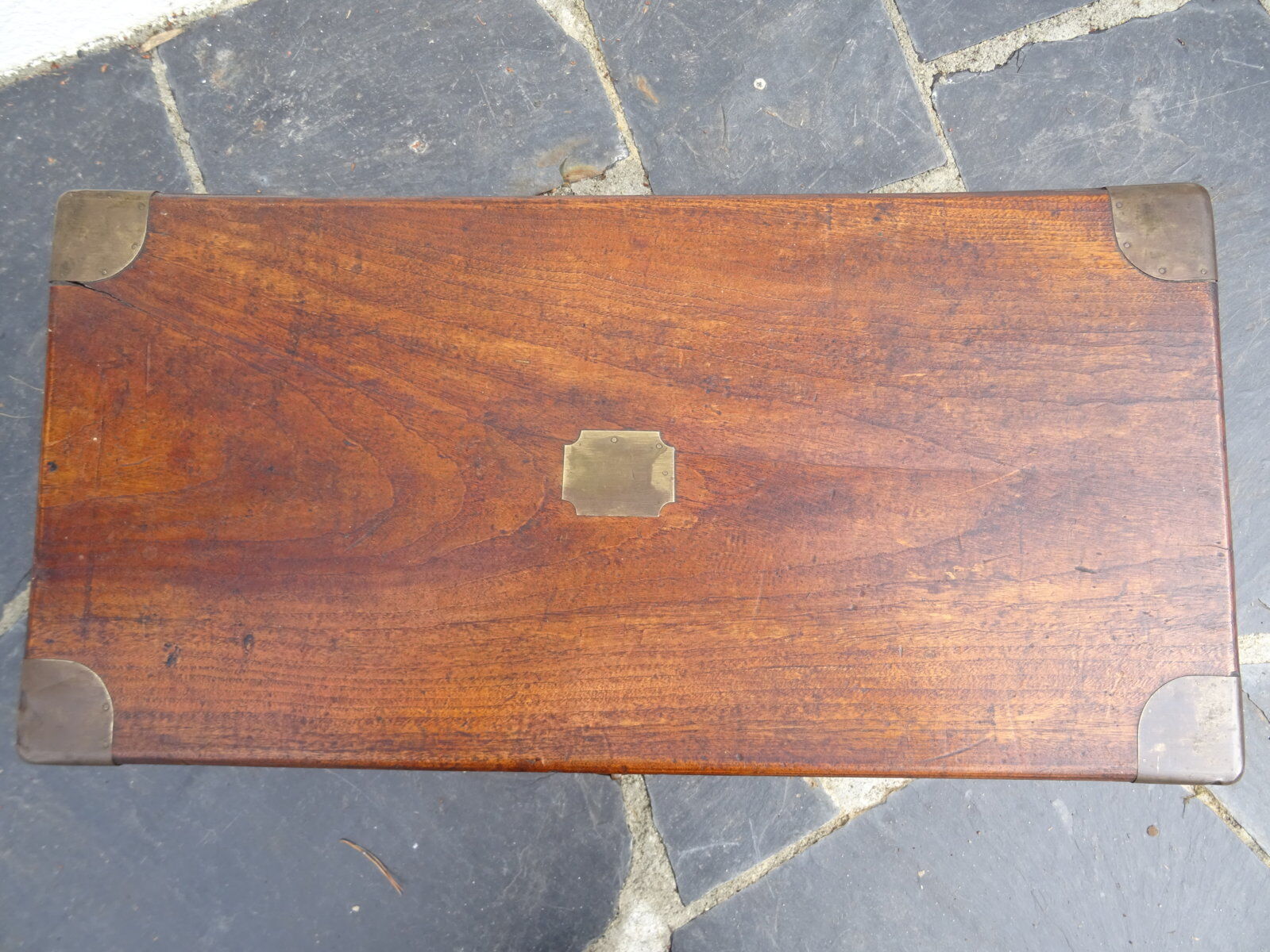 Old marine trunk in camphor tree