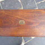 Old marine trunk in camphor tree