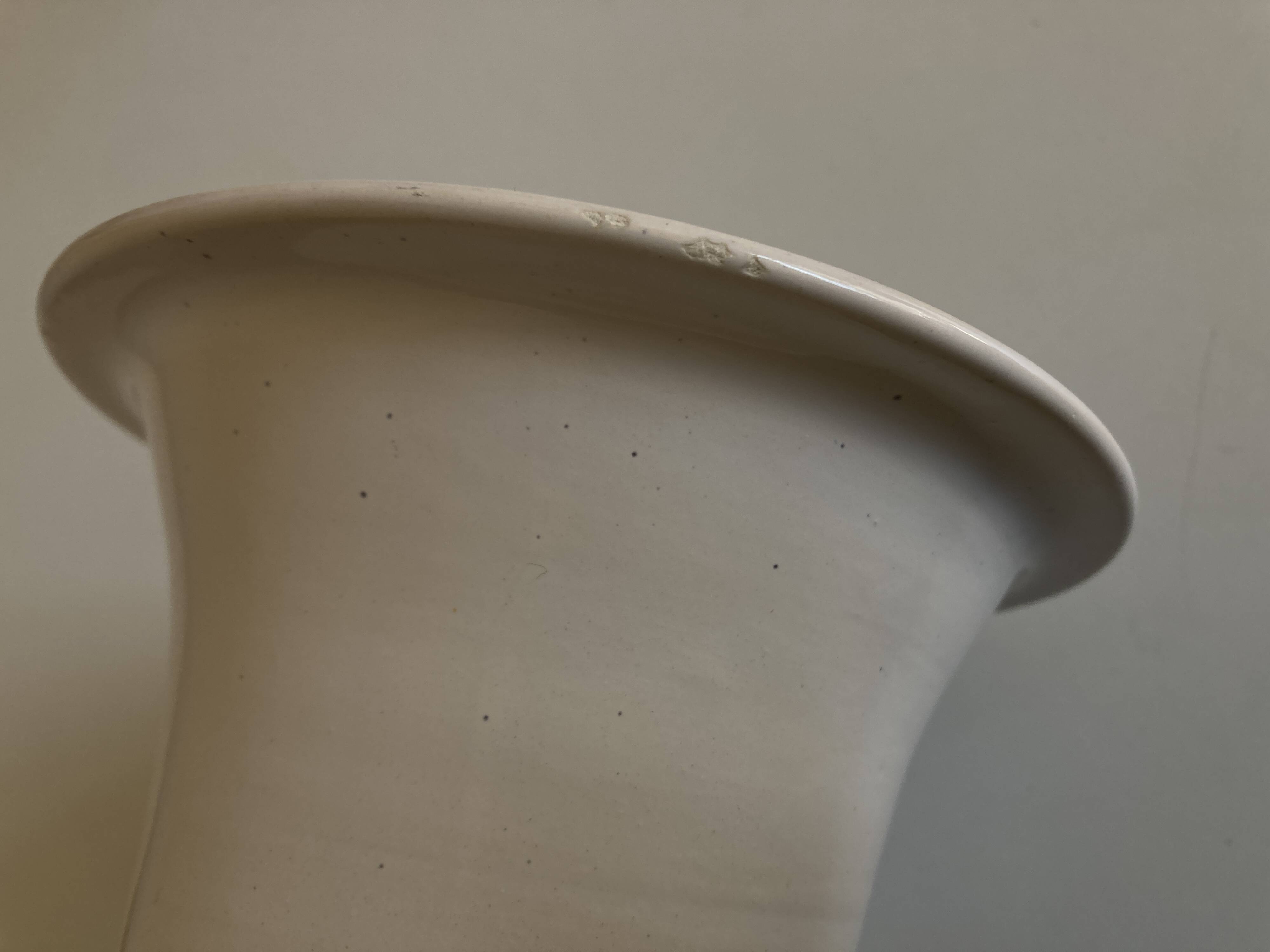 Medicis Jean Roger vase in white earth