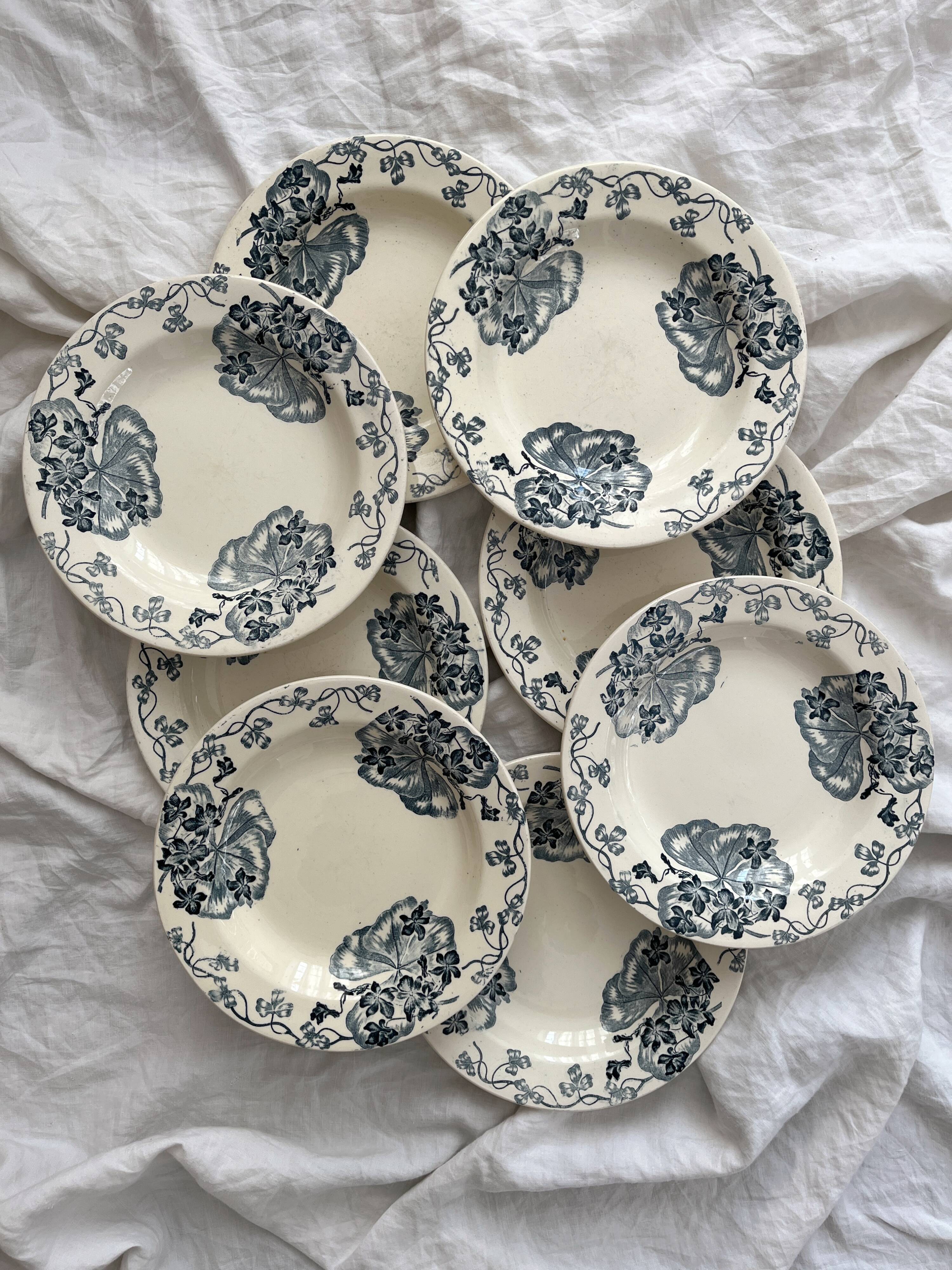 8 ironstone soup plates "Les Violettes" Salins
