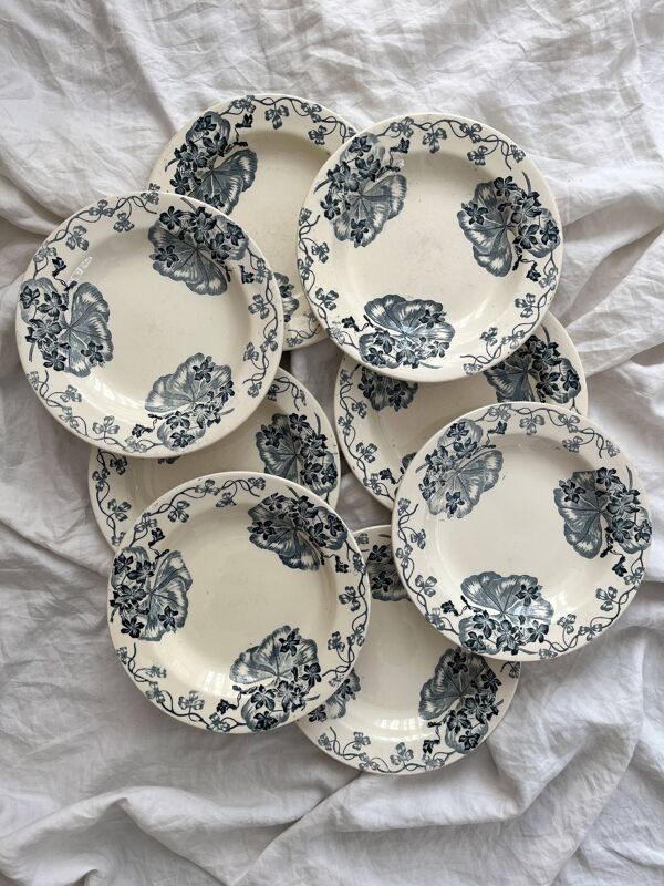 8 assiettes creuses en terre de fer ''Les Violettes'' Salins