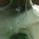 Demijohn viresa 20 litres