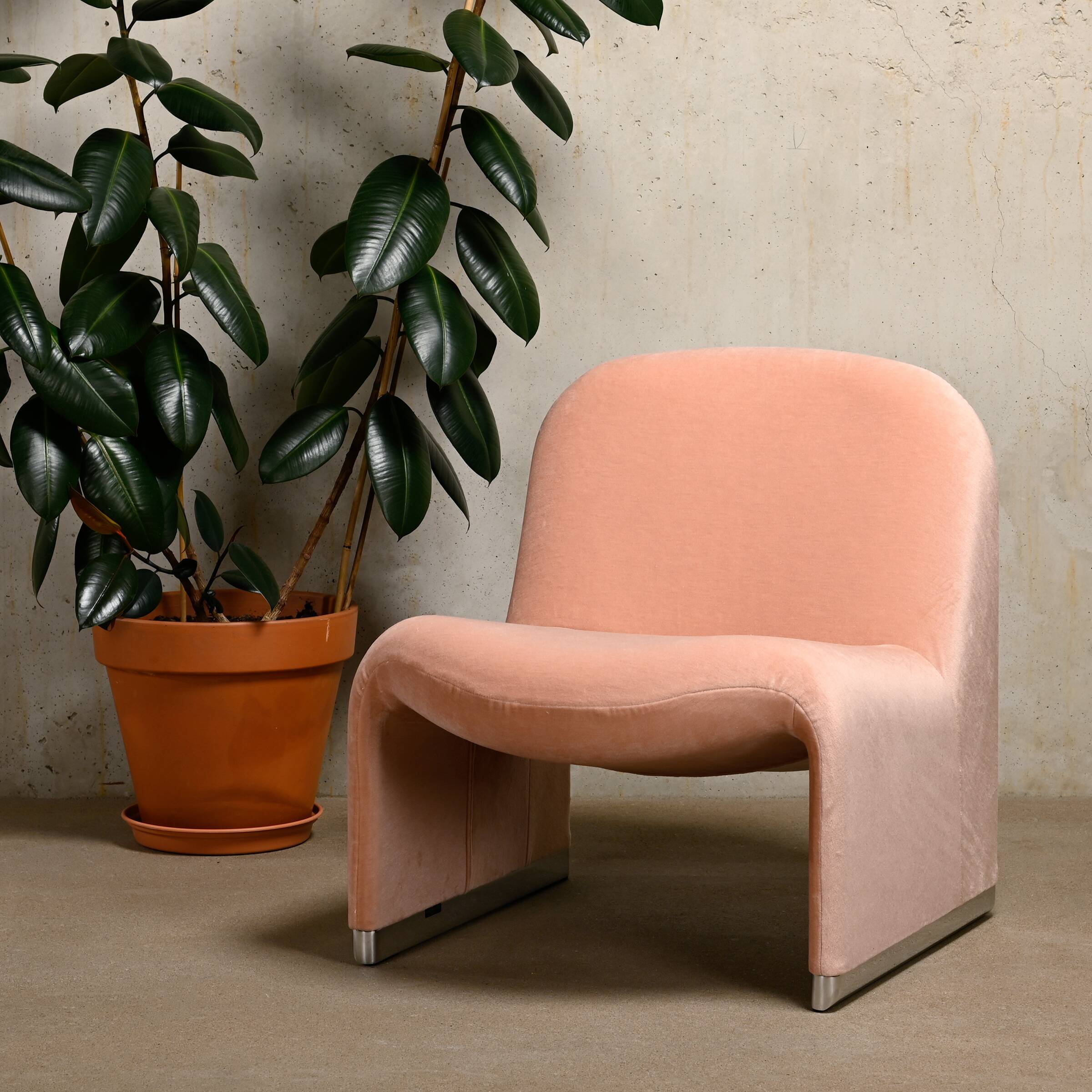 Giancarlo Piretti Alky Lounge Chair in Pink Velvet (Rose Dust) Fabric for Anonima Castelli