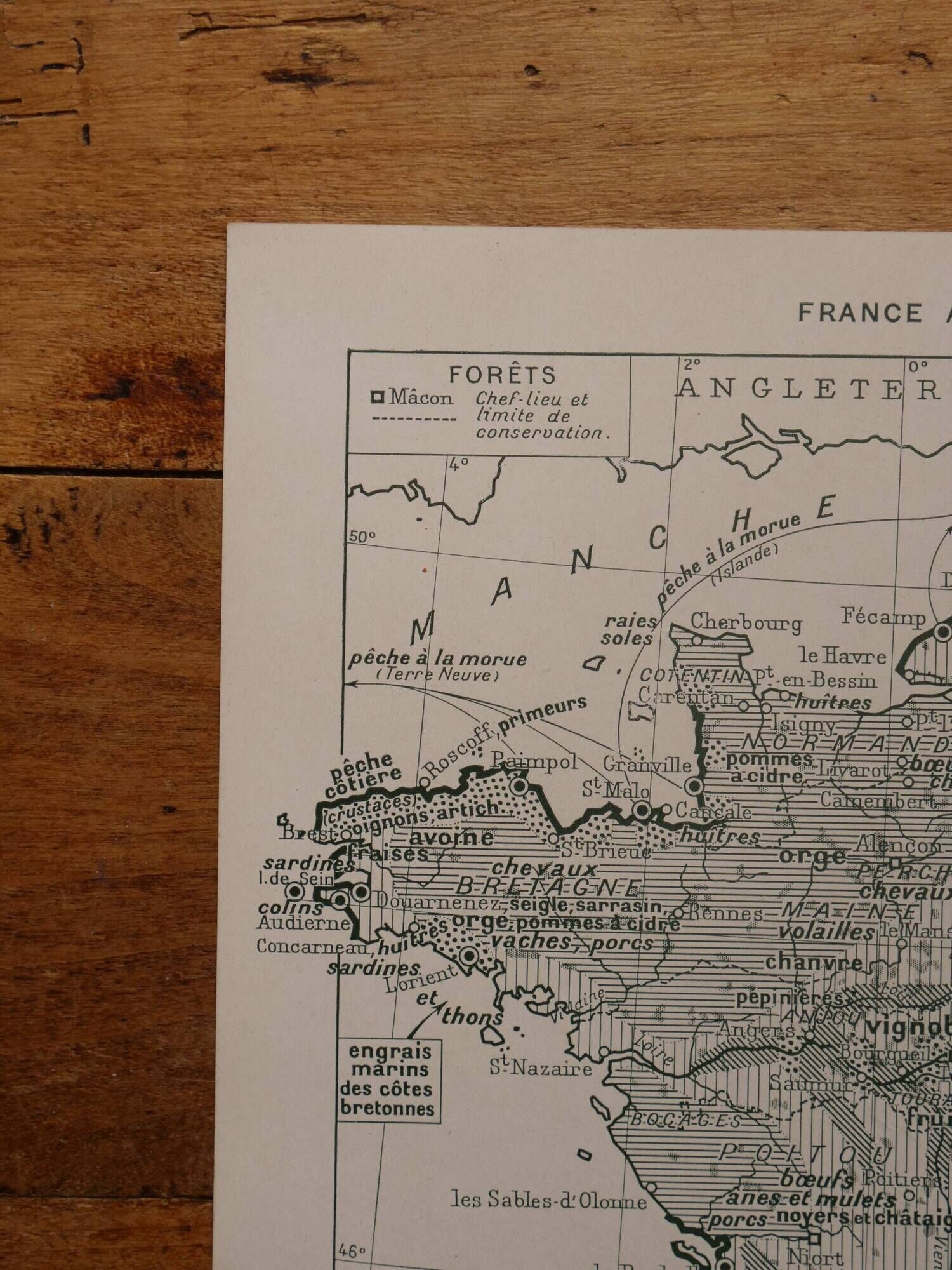 Original lithograph on France (physics + agricultural and forestry)
