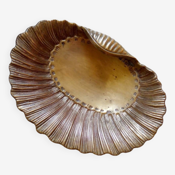 Small scallop shell cup/empty pocket Brass