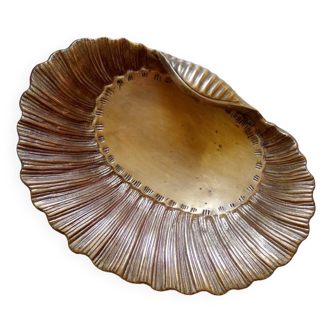 Small scallop shell cup/empty pocket Brass