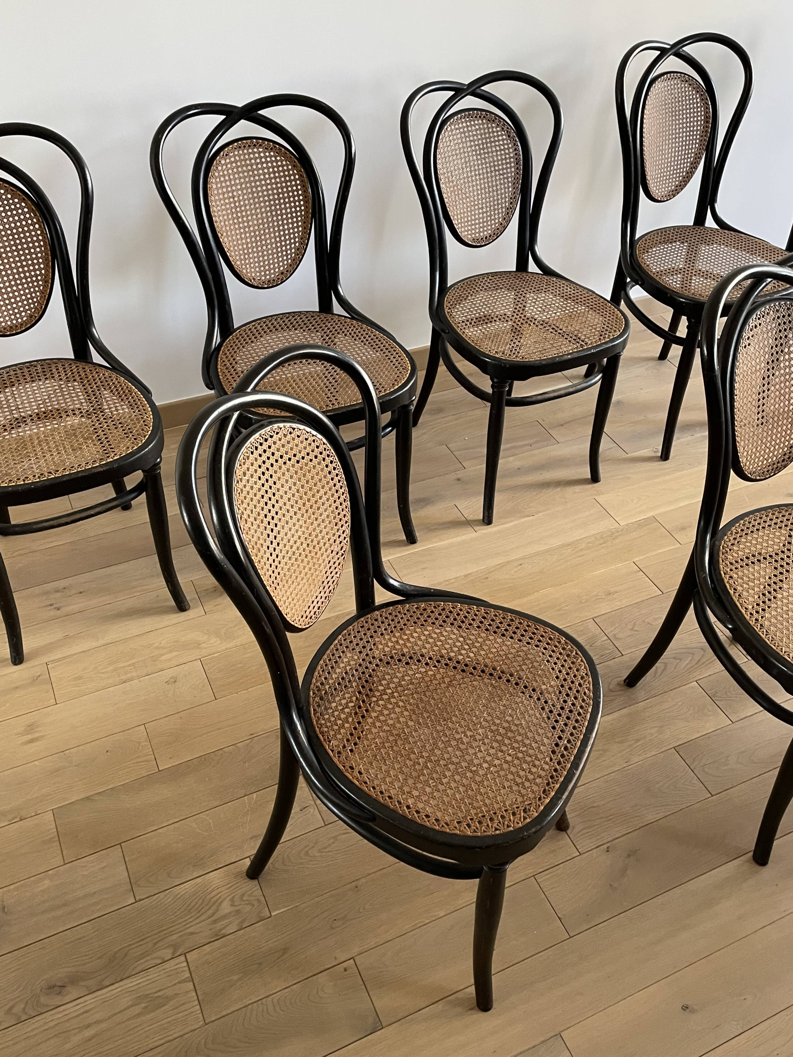 Series of 8 Viennese chairs N.33 by J&J Kohn, 1900