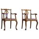 A pair of English Chippendale style armchairs in birch, 20th century, England.