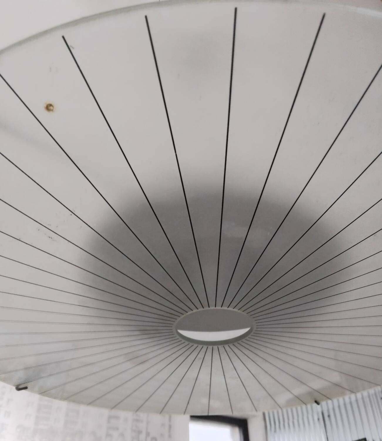 Suspension Stefano Cevoli