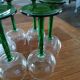 6 verres anciens à vin blanc