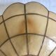 Pair of mother-of-pearl shell sconces