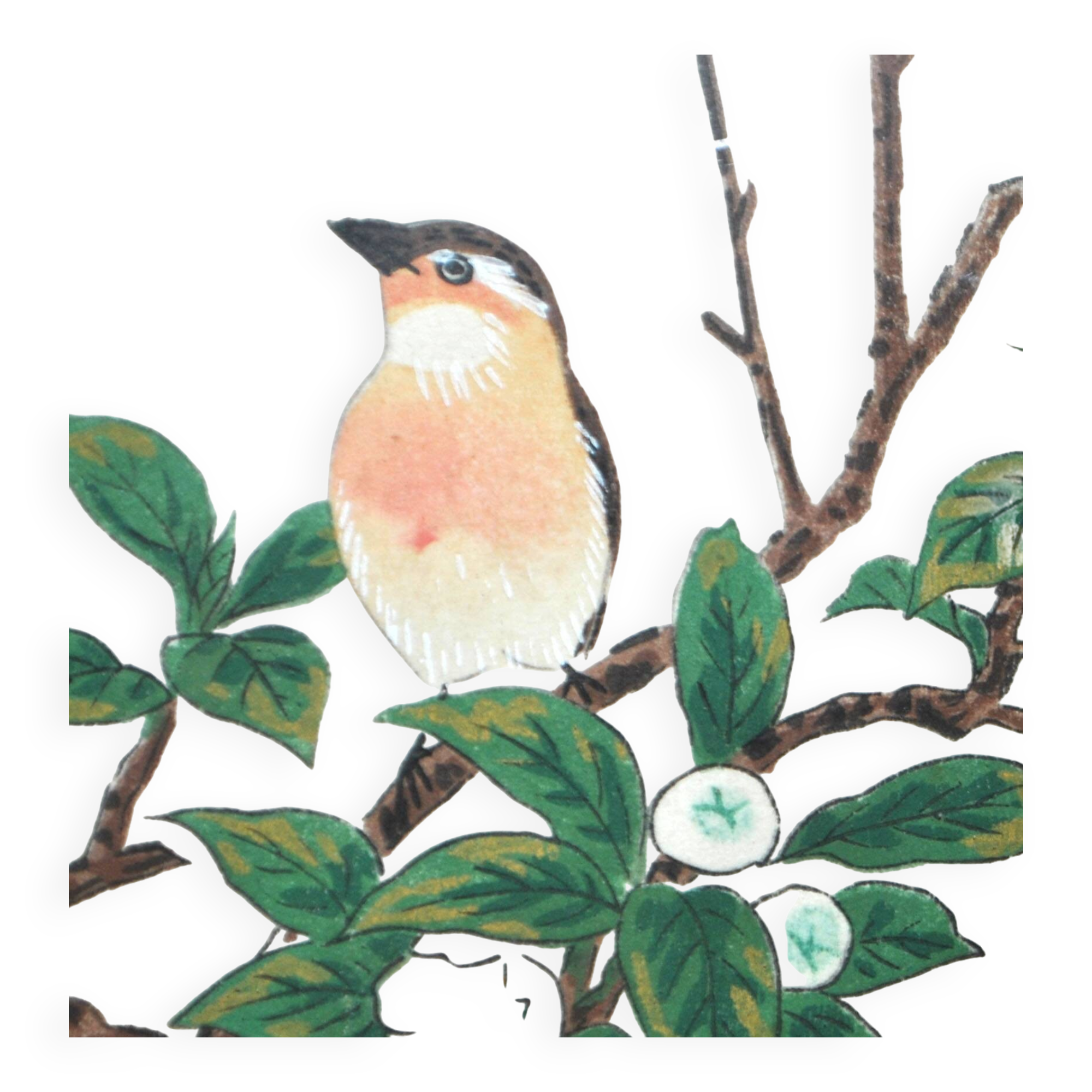 Painting enhanced engraving bird japan signed ashikaga "teaoil plant" 1950