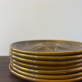 Set of 7 vintage khaki oyster plates