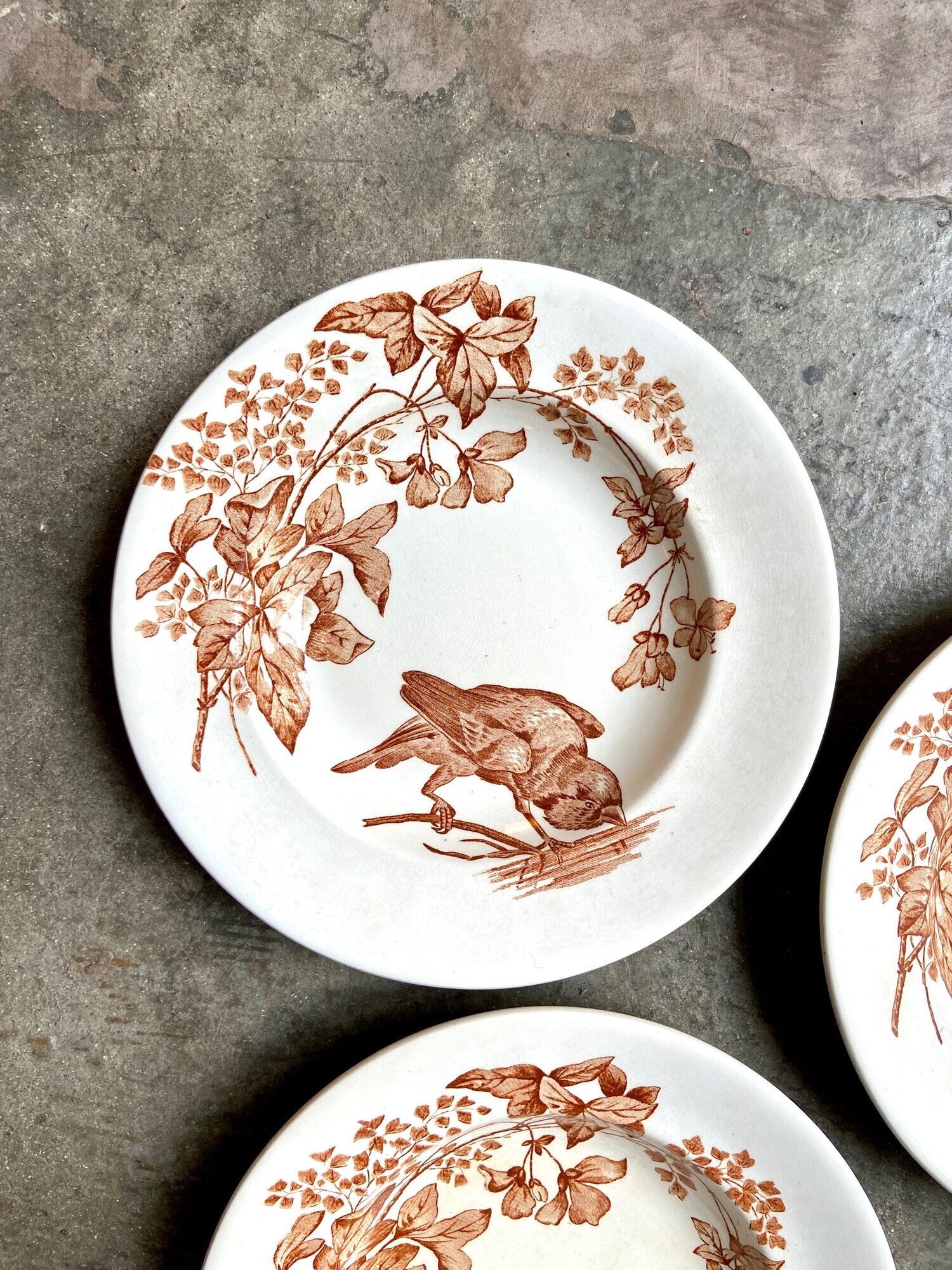 3 Longwy hollow plates in white and brown iron earth