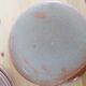 Lot of 6 sandstone plates