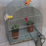 Former birdcage
