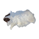 Sheepskin