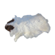 Sheepskin