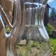 Crystal pitcher from Saint Louis, Cerdagne model.