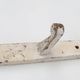 Industrial White Wall Mounted Coat Rack in Wood, Belgium, 1920s