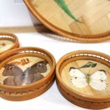 Wicker tray and butterflies