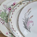 Composition de 6 assiettes plates en porcelaine